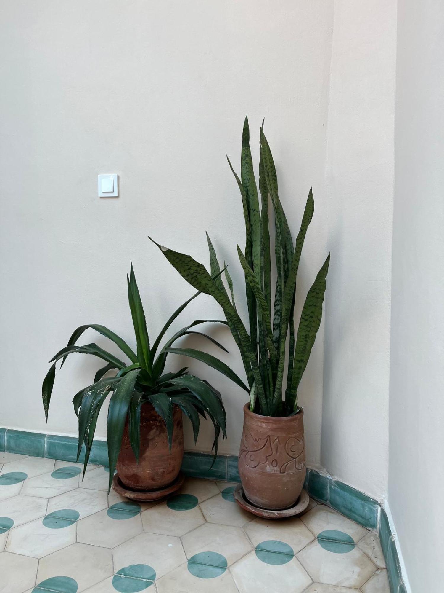 Riad Imndi Marrakesh Buitenkant foto
